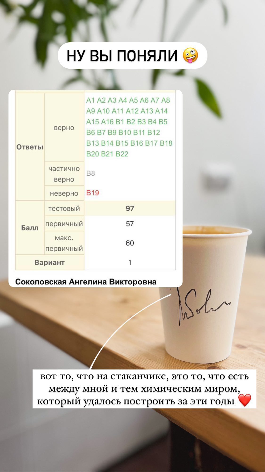 Результаты ученика SimpleChem